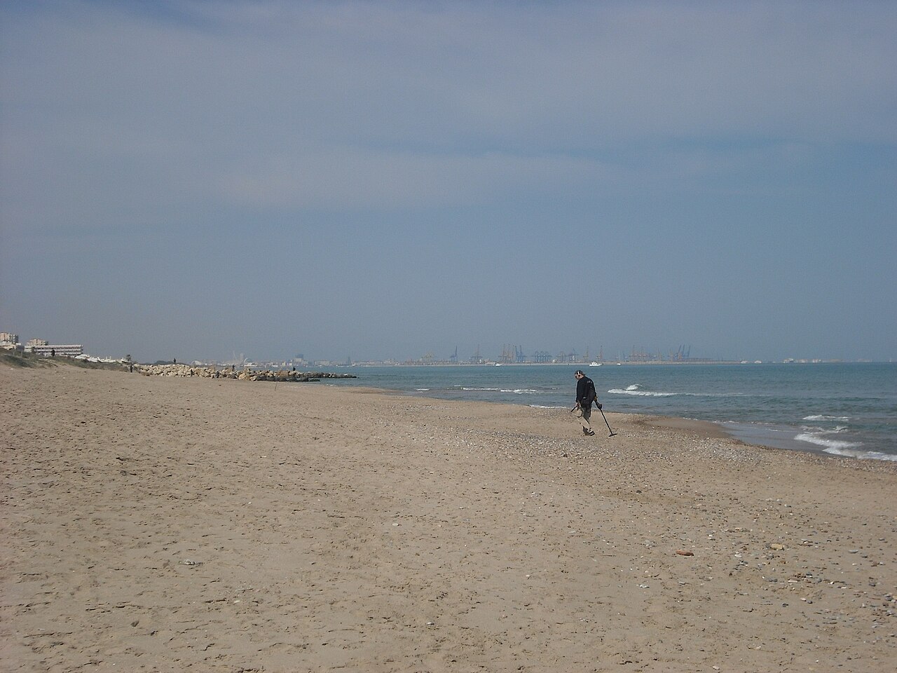 Vista de la Playa de la Devesa del Saler con el pinar, Valencia