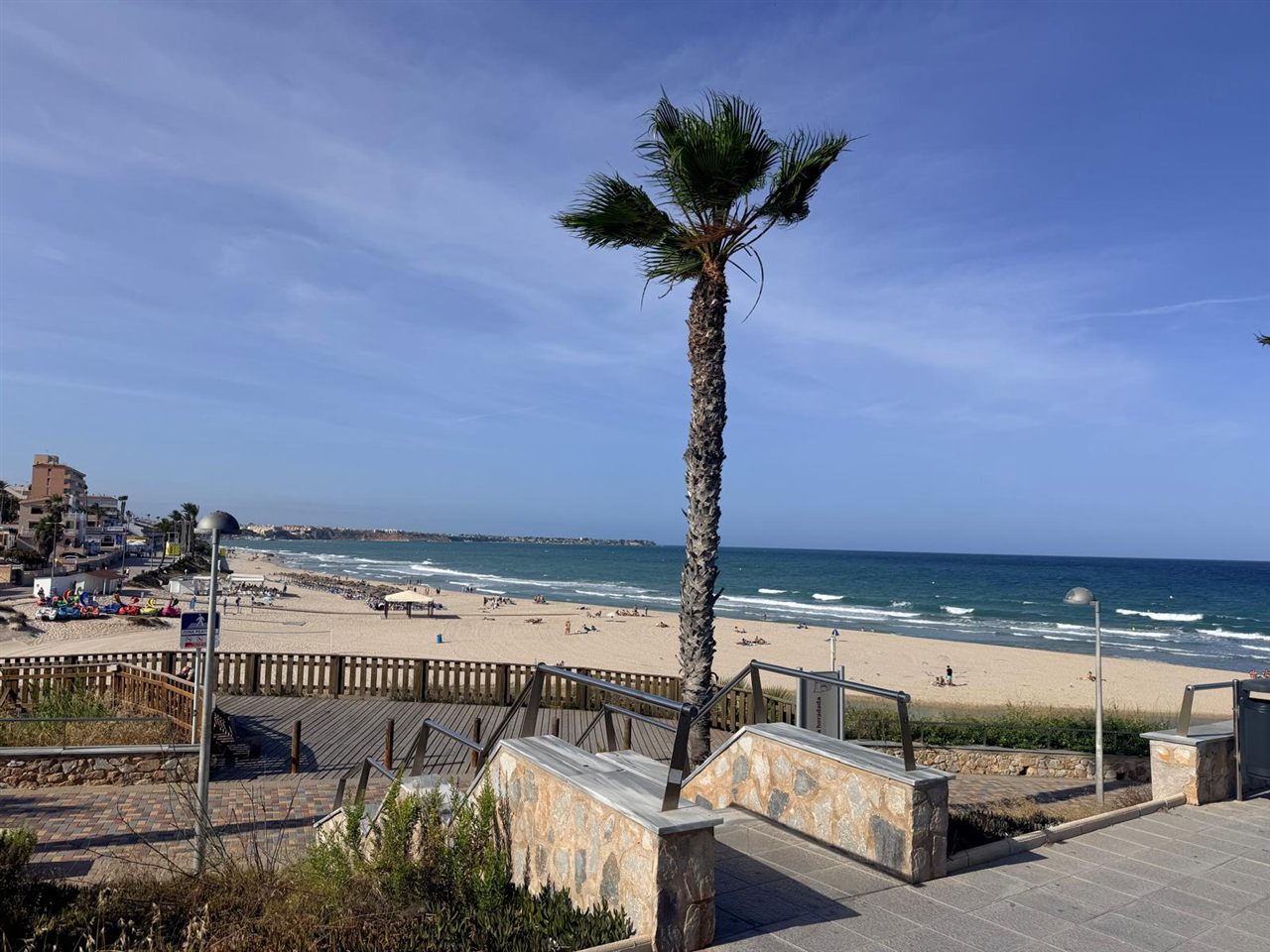 Palmera y paseo marítimo de Playa de Mil Palmeras con la playa y el Mediterráneo al fondo, Pilar de la Horadada, Alicante