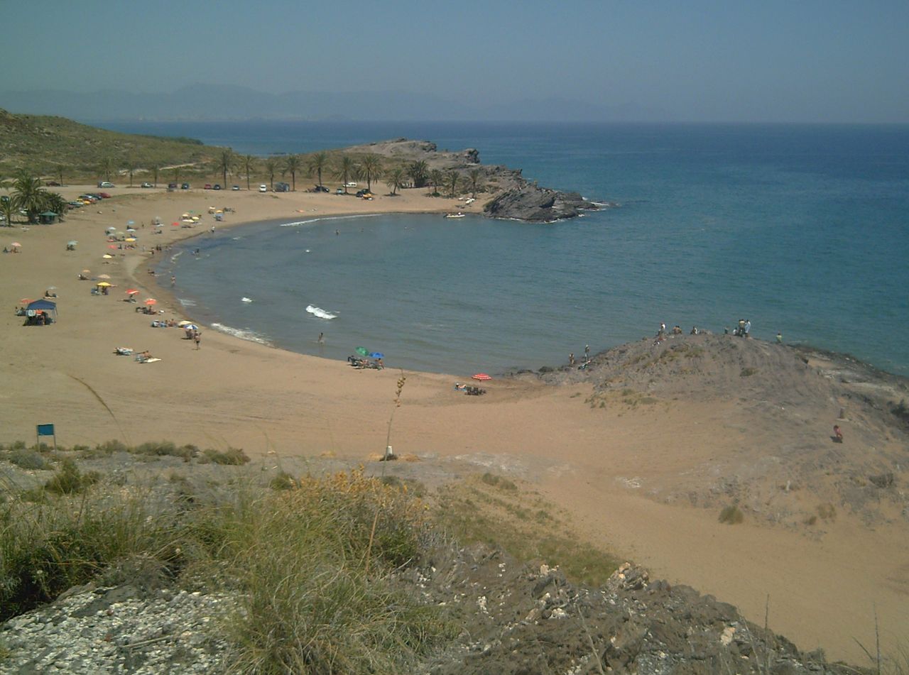 Vista aérea de la ensenada de Percheles con la roca volcánica y palmeras, Mazarrón, Murcia