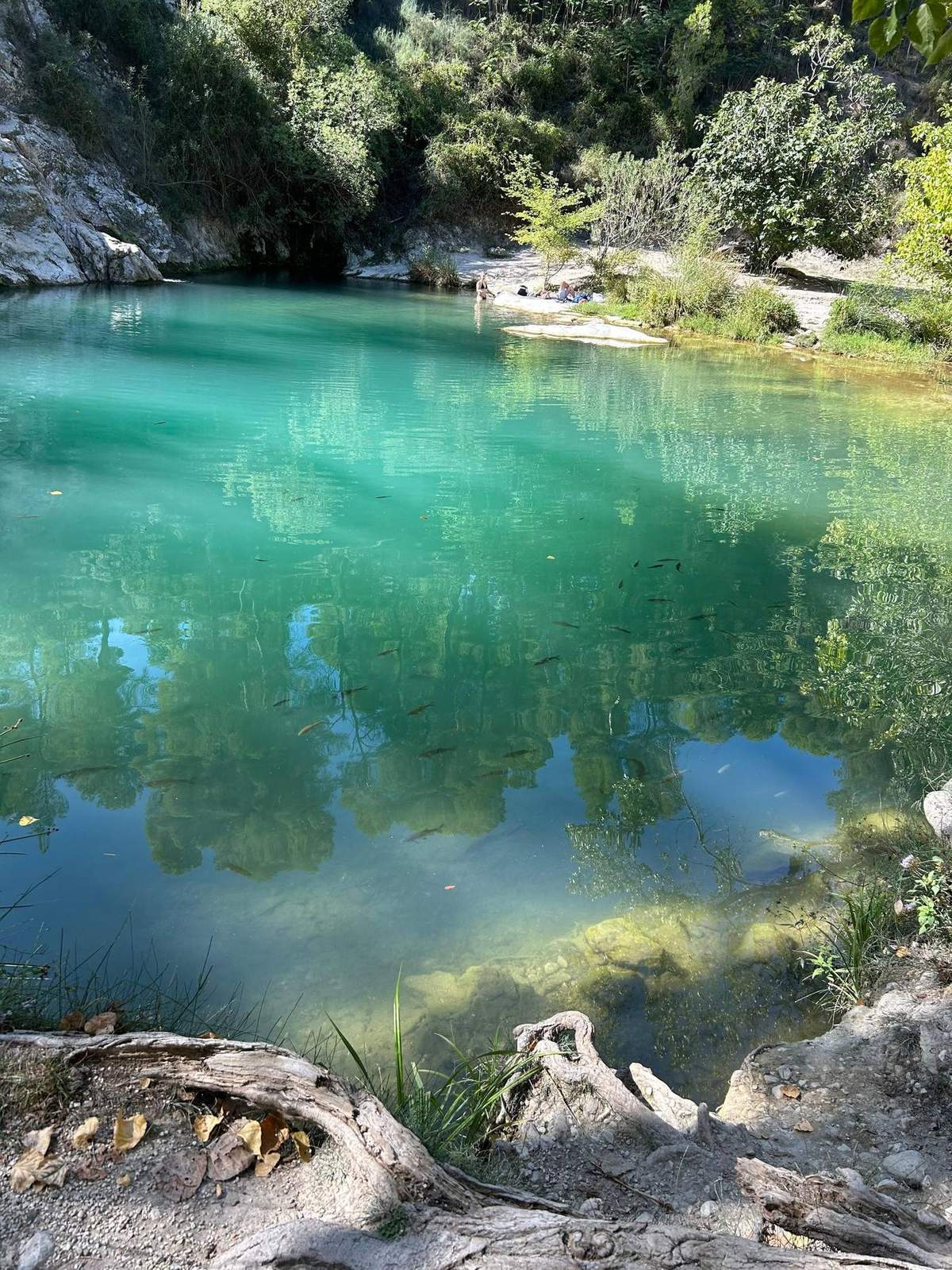 Paraje Natural Serra de l'Ombria — Pou Clar