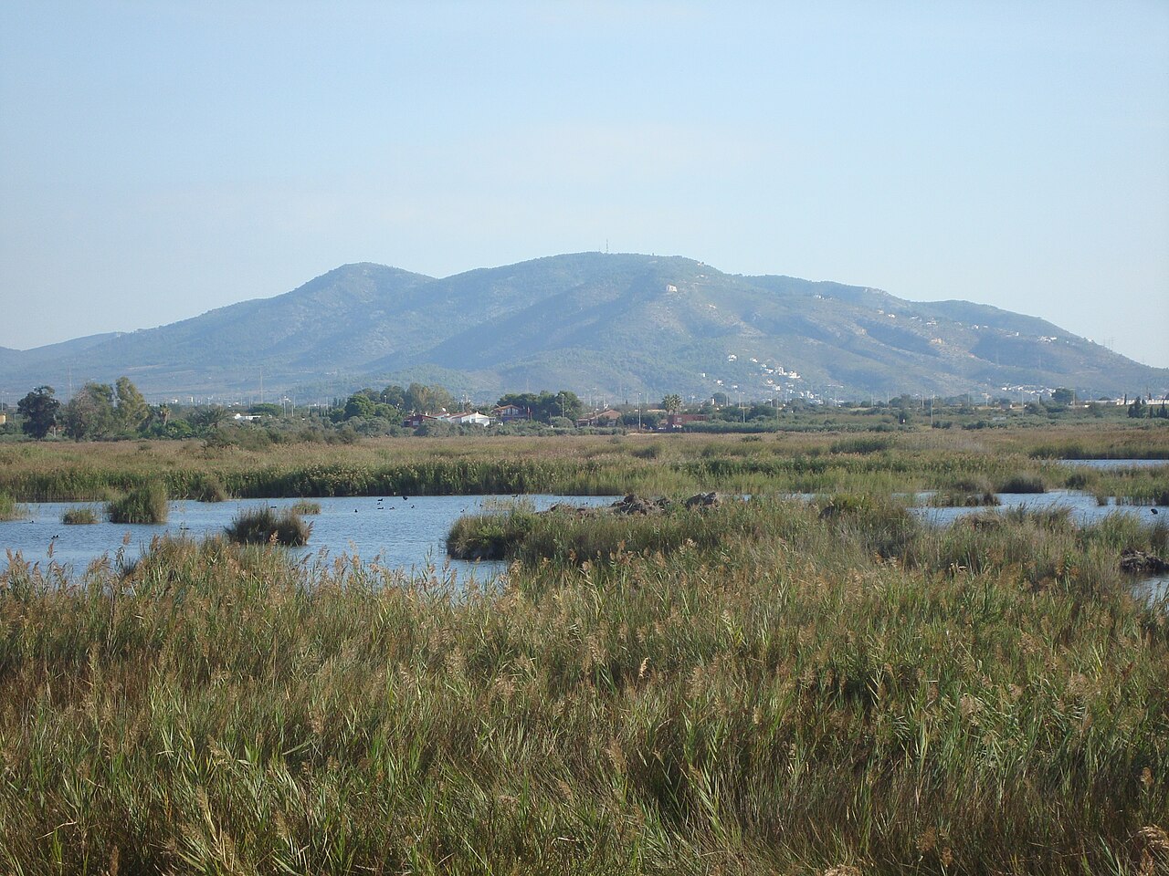 Paraje Natural del Prat de Cabanes-Torreblanca con laguna y vegetación, Castellón