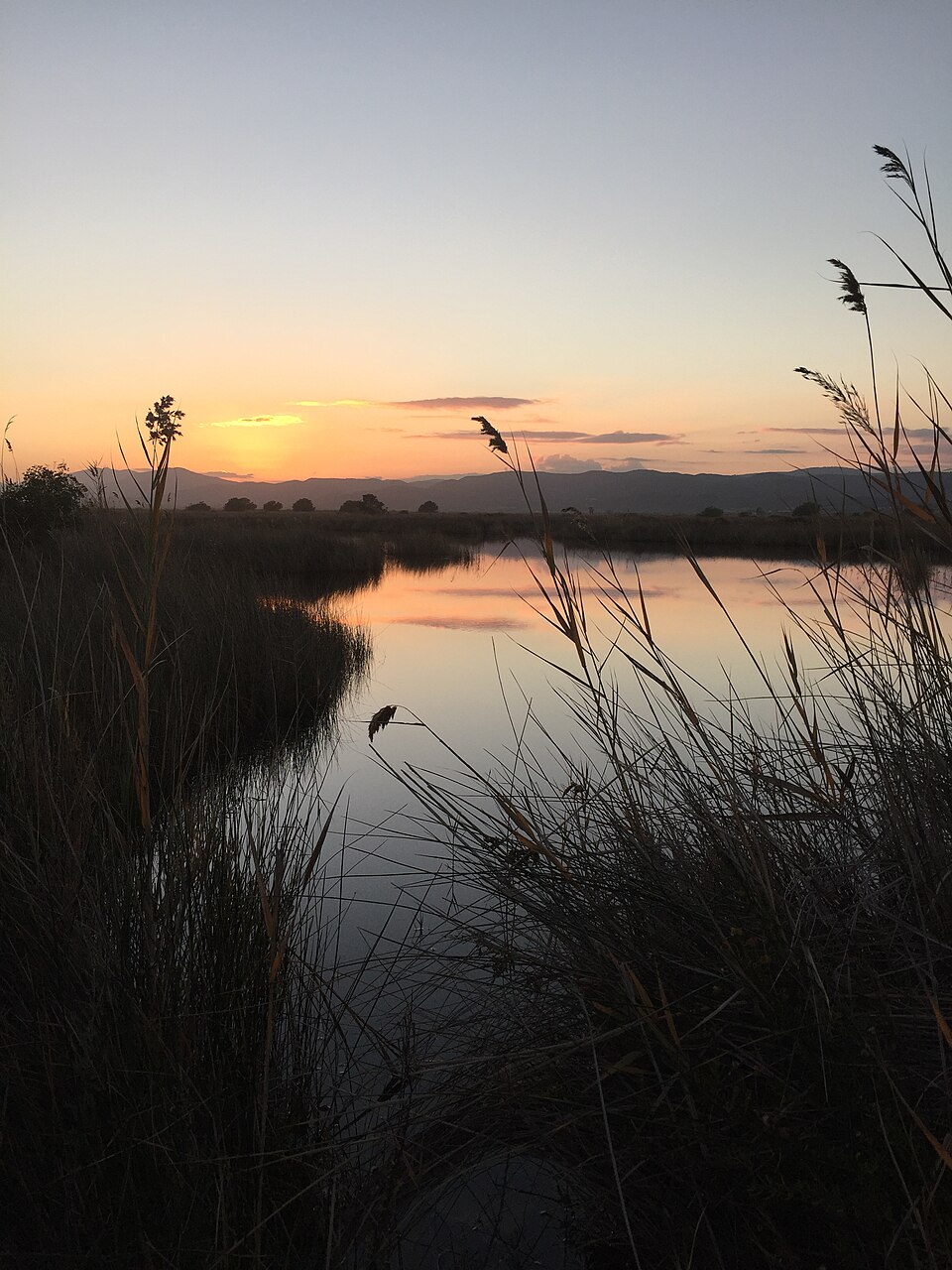 Atardecer reflejado en el humedal del Prat de Cabanes-Torreblanca, Castellón
