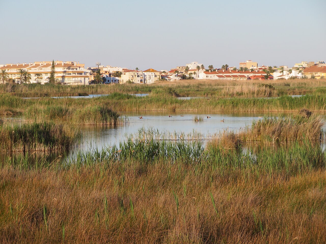 Panorámica del Parque Natural del Prat de Cabanes-Torreblanca, Castellón