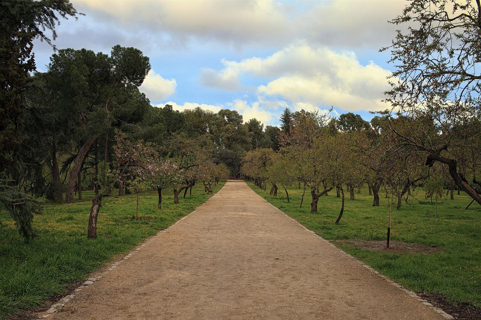 Vista general de la zona ajardinada de la Quinta de los Molinos