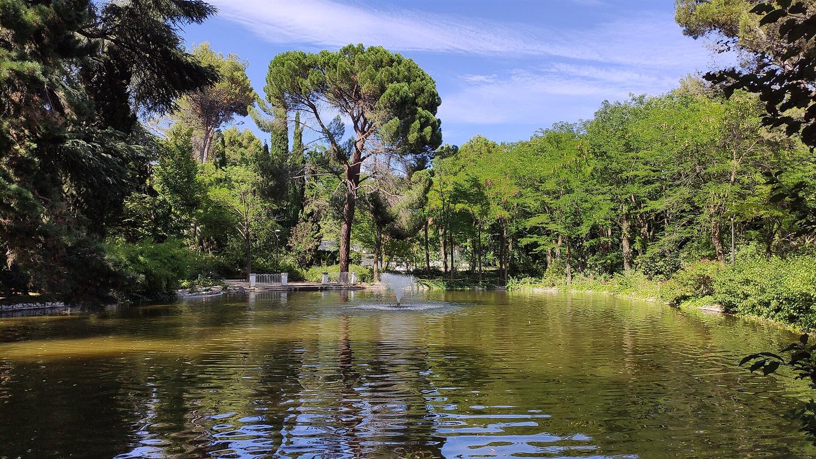Lago artificial con fuente entre la vegetación del jardín