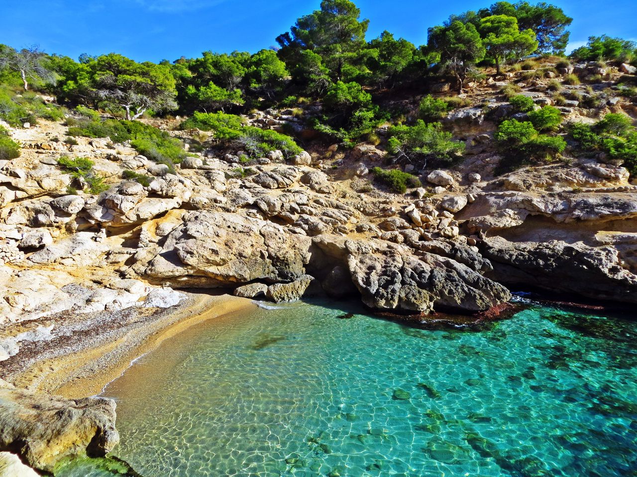 Vista del Racó del Conill con acantilados blancos y aguas transparentes en Villajoyosa