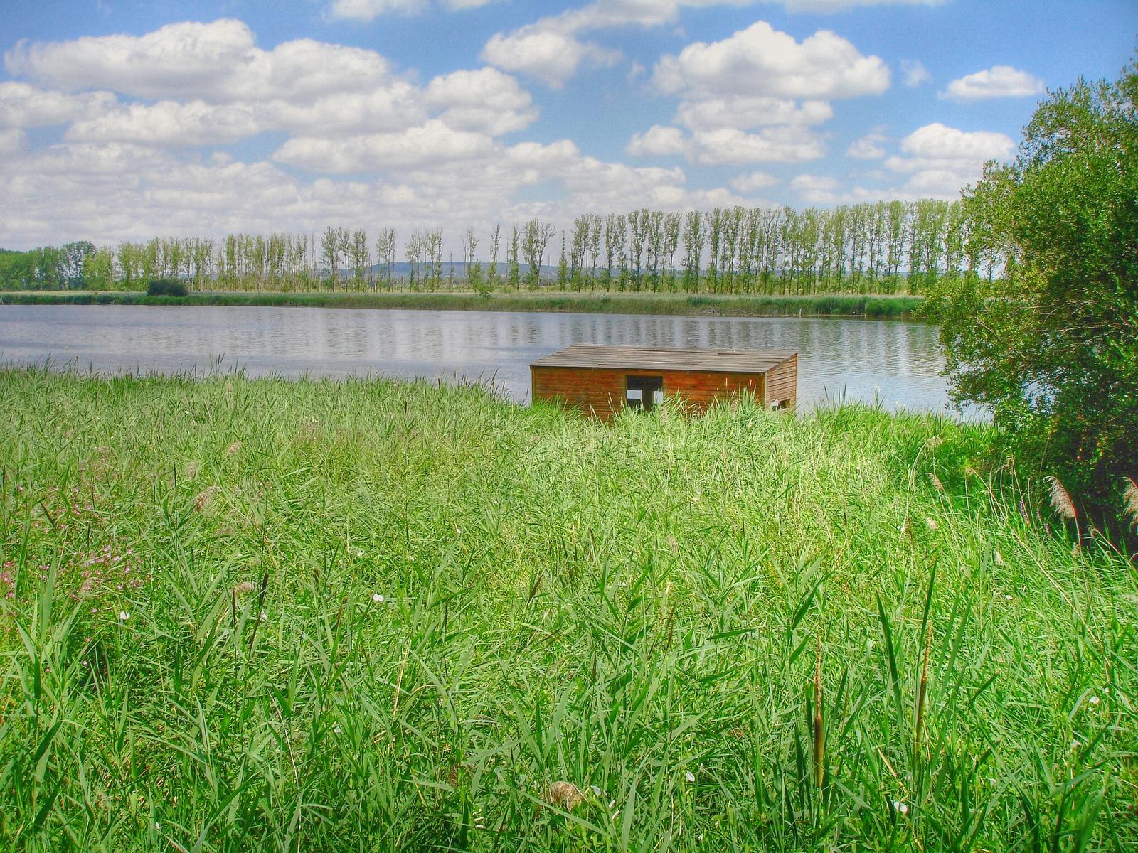 Caseta de observación frente al río en la Reserva Natural Riberas de Castronuño