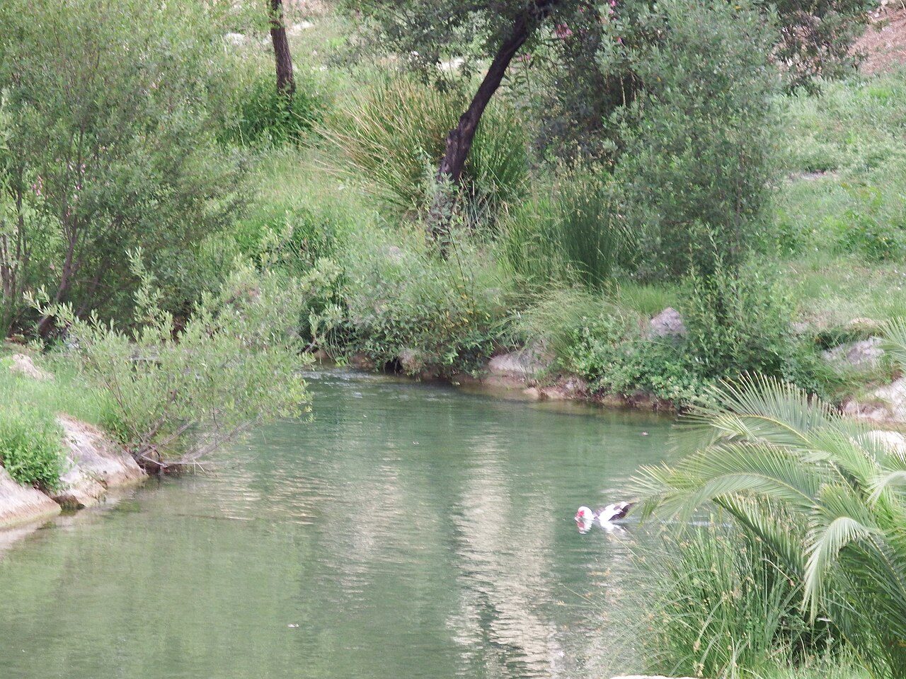Pozas y vegetación de ribera en el río Bolbaite, Canal de Navarrés