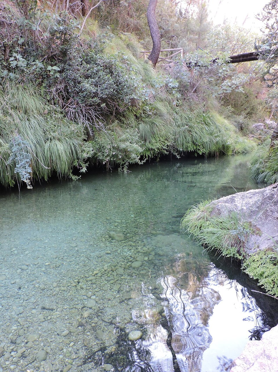 Cerrada de Elías con pasarela sobre el Río Borosa