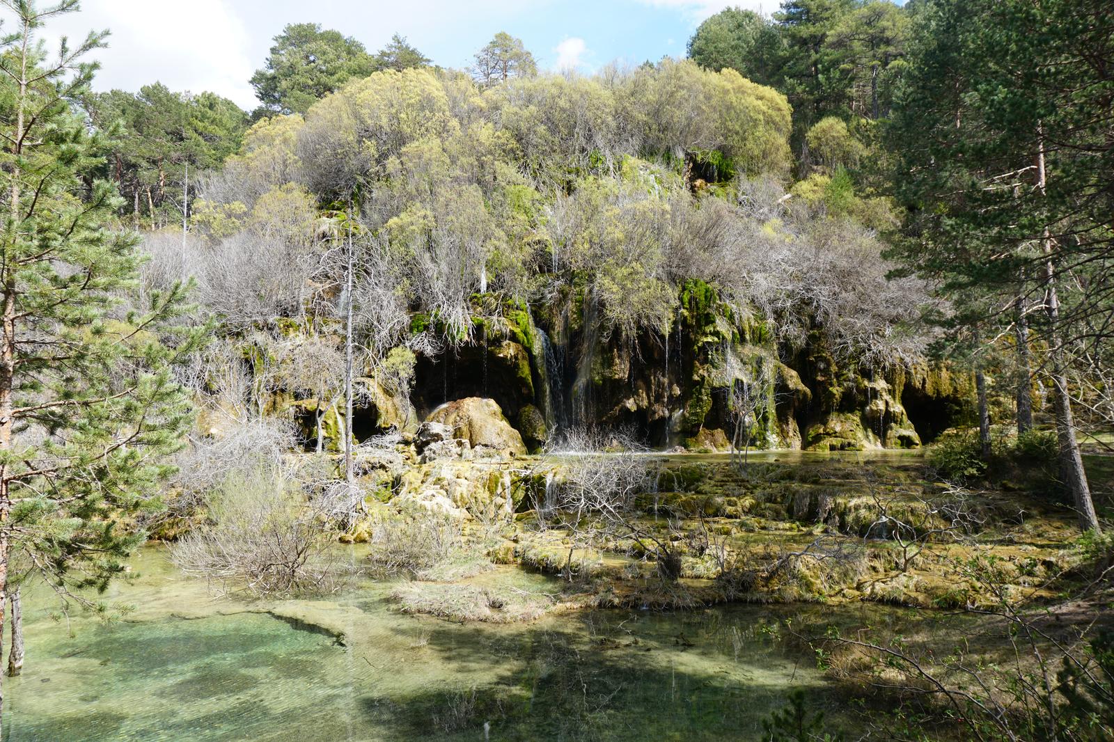 Cascadas tobáceas del nacimiento, con vegetación