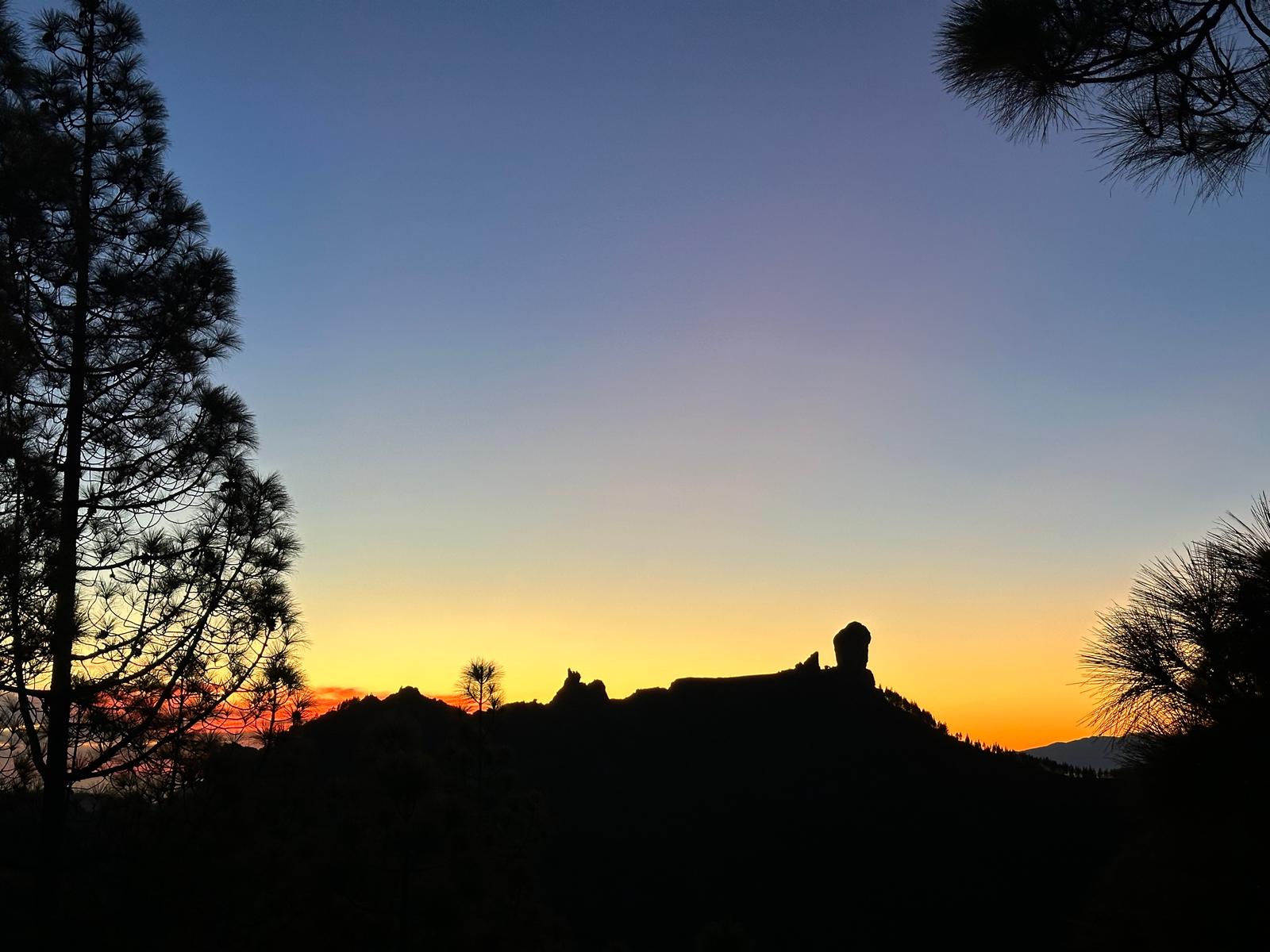 Silueta del Roque Nublo a contraluz con rayos crepusculares y pinar en primer plano