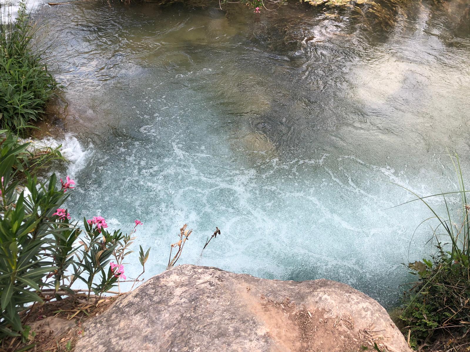 Río Tuéjar a su paso por Chelva, Valencia, con vegetación de ribera y aguas limpias