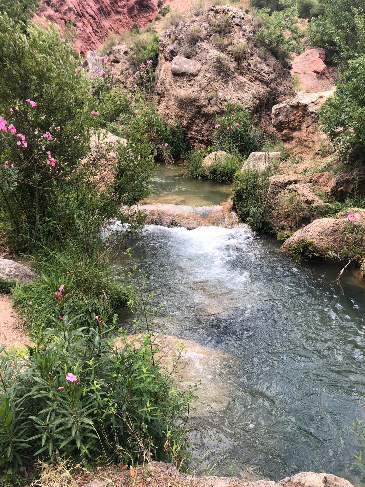 Sendero de la Ruta del Agua de Chelva junto al río Tuéjar entre vegetación de ribera