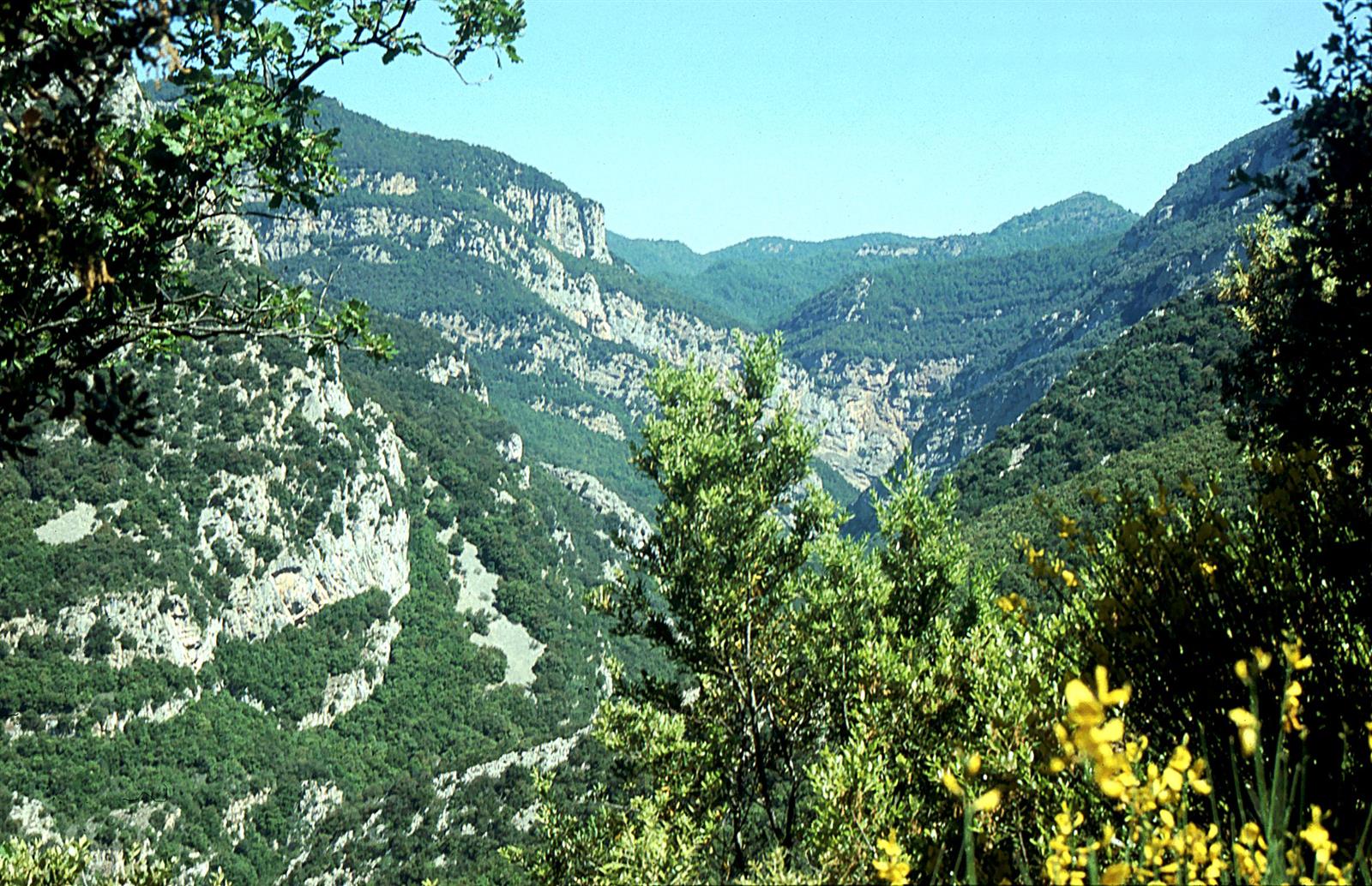 Vista panorámica de los riscos y la vegetación densa del barranco de Sadernes en la Alta Garrotxa, con paredes de roca caliza y cielo azul