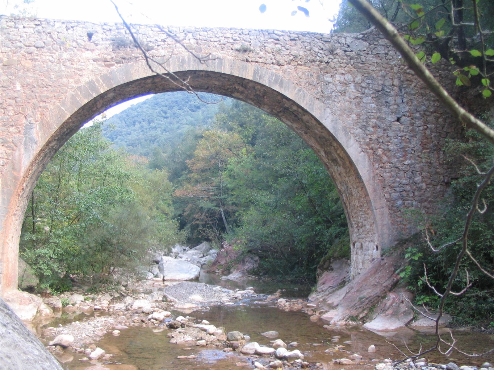 Vista del arco de piedra del Pont d'en Valentí desde el interior: mampostería medieval y vegetación al fondo, río Sant Aniol, Alta Garrotxa, Girona