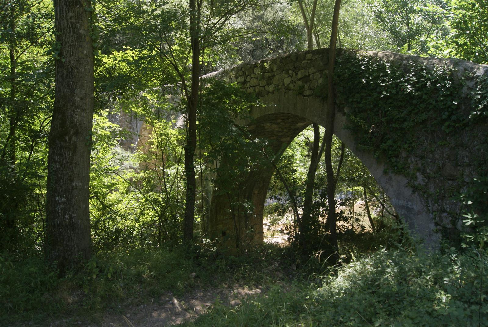 Pont d'en Valentí: el puente de piedra medieval escondido entre vegetación densa sobre el río Sant Aniol en la Alta Garrotxa, Girona