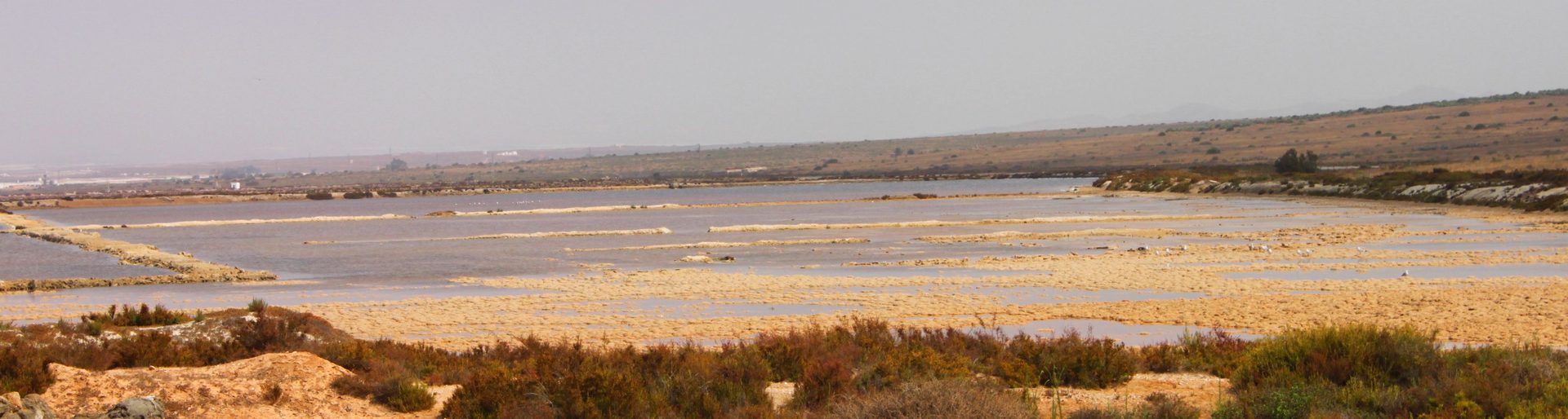 Balsas salineras del Parque Natural Cabo de Gata con aves acuáticas