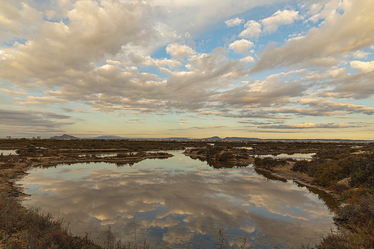 Charcas de las salinas de San Pedro del Pinatar reflejando el cielo, Murcia