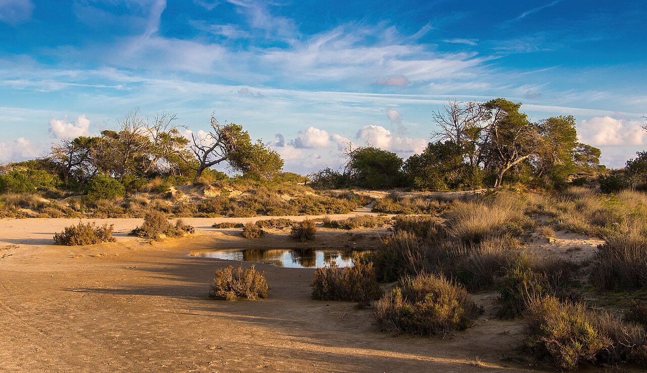 Paisaje de dunas junto a las salinas de San Pedro del Pinatar, Murcia