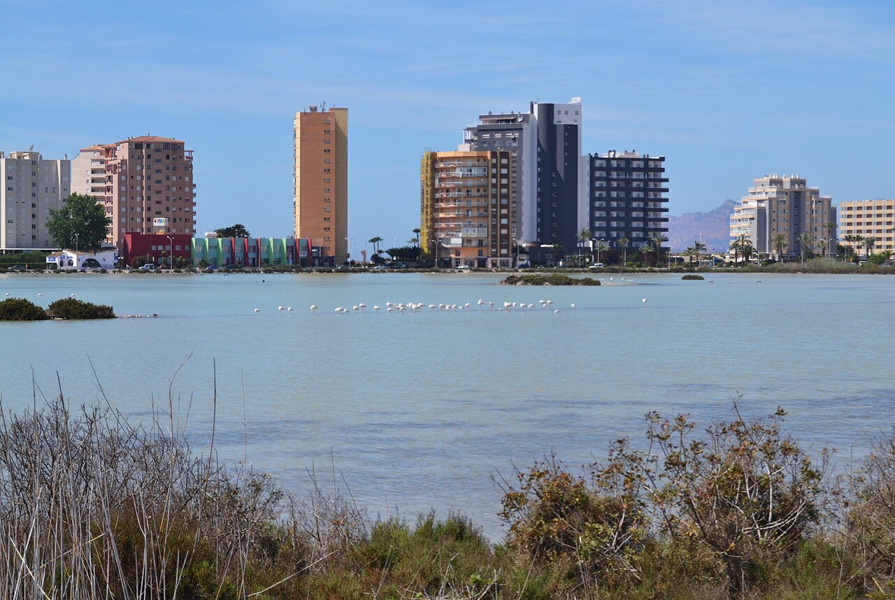 Flamencos en las Salines de Calp con el Penyal d'Ifac y edificios al fondo