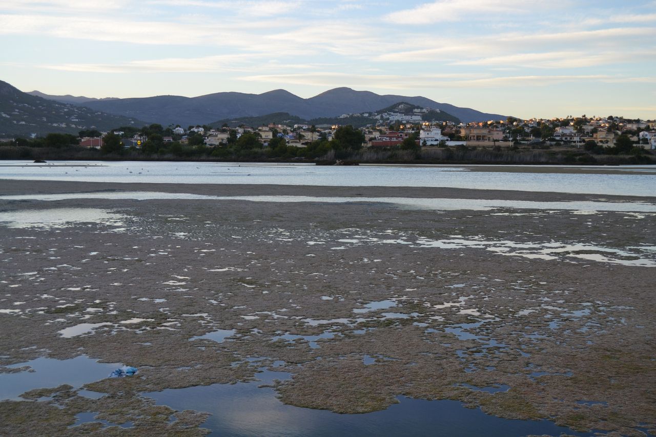 Vista del humedal de las Salines de Calp con el Penyal d'Ifac al fondo