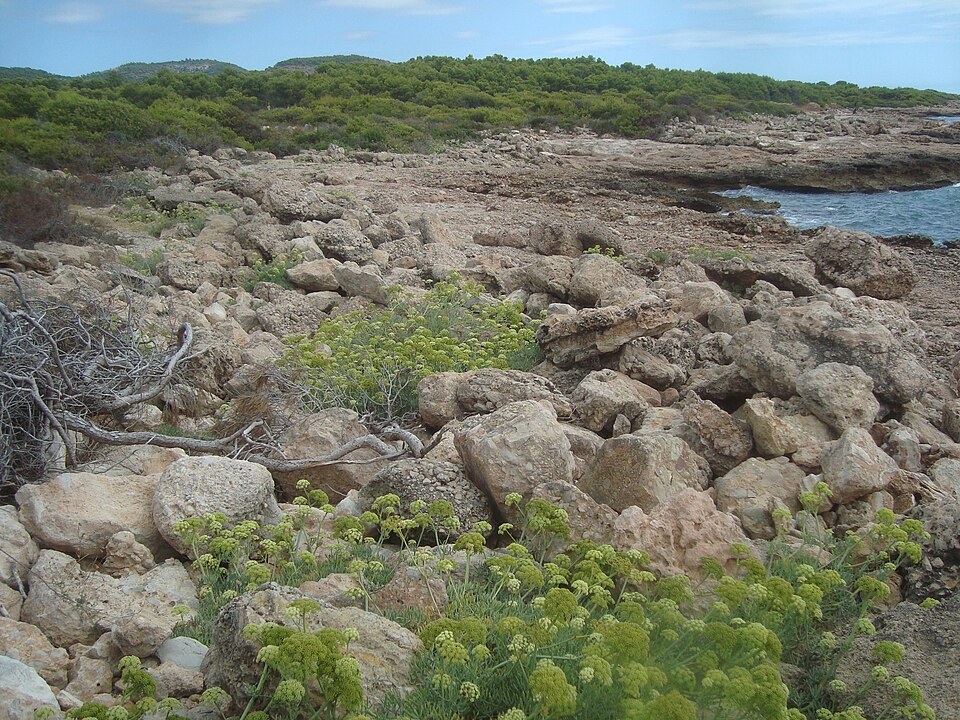 Vista panorámica de la costa marítima del Parque Natural de la Sierra de Irta