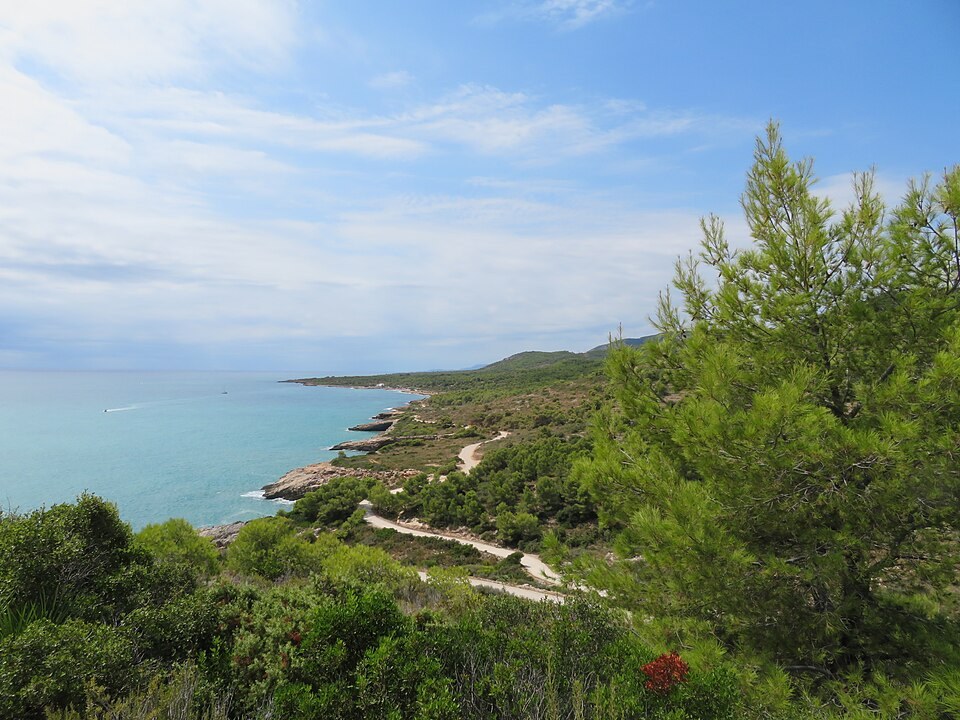 Parque Natural de la Serra d'Irta, Peñíscola — acantilados y vegetación mediterránea