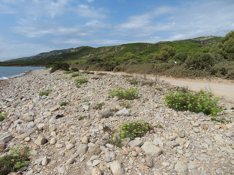 Parque Natural de la Serra d'Irta, Peñíscola (Castellón)