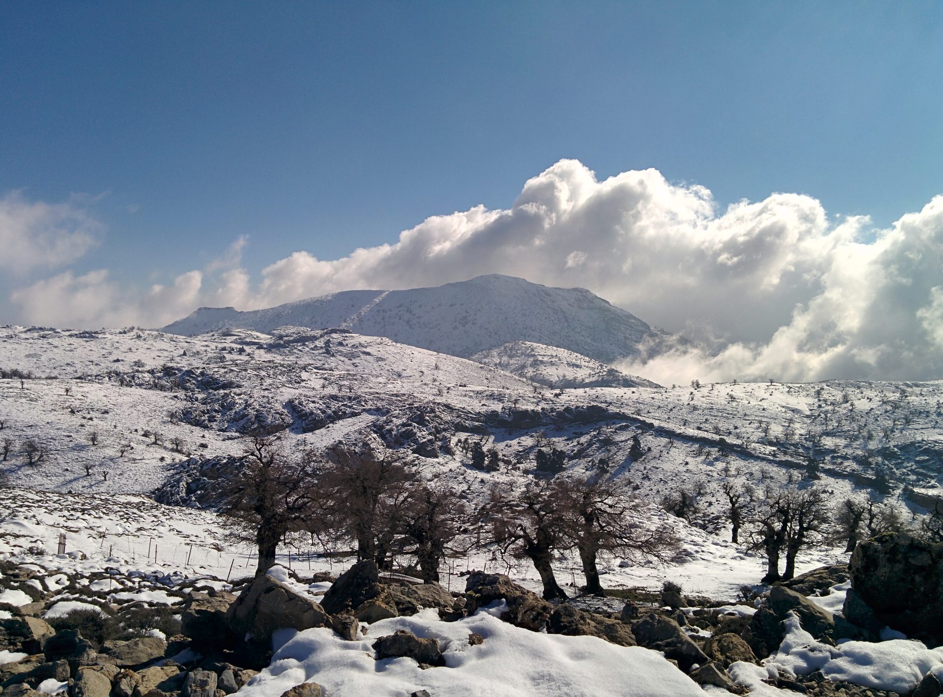 Pico Torrecilla (1.919 m), cima más alta de la provincia de Málaga
