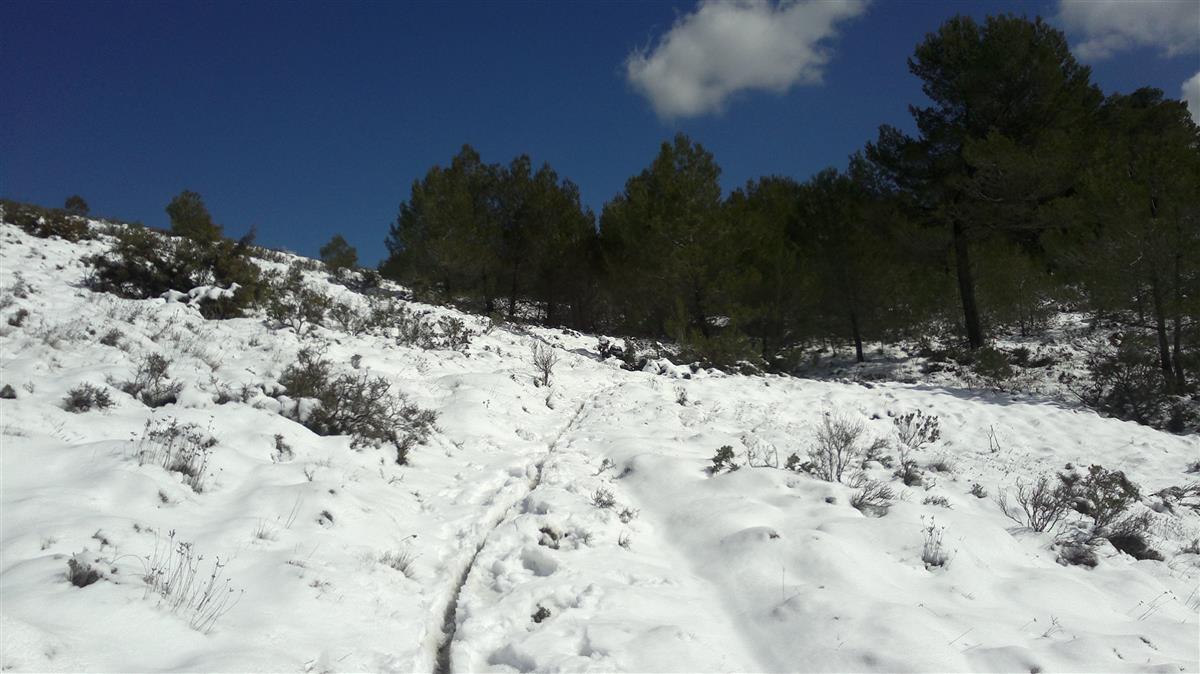 Sendero hacia el pico Montcabrer en la Serra de Mariola, El Comtat, Alicante