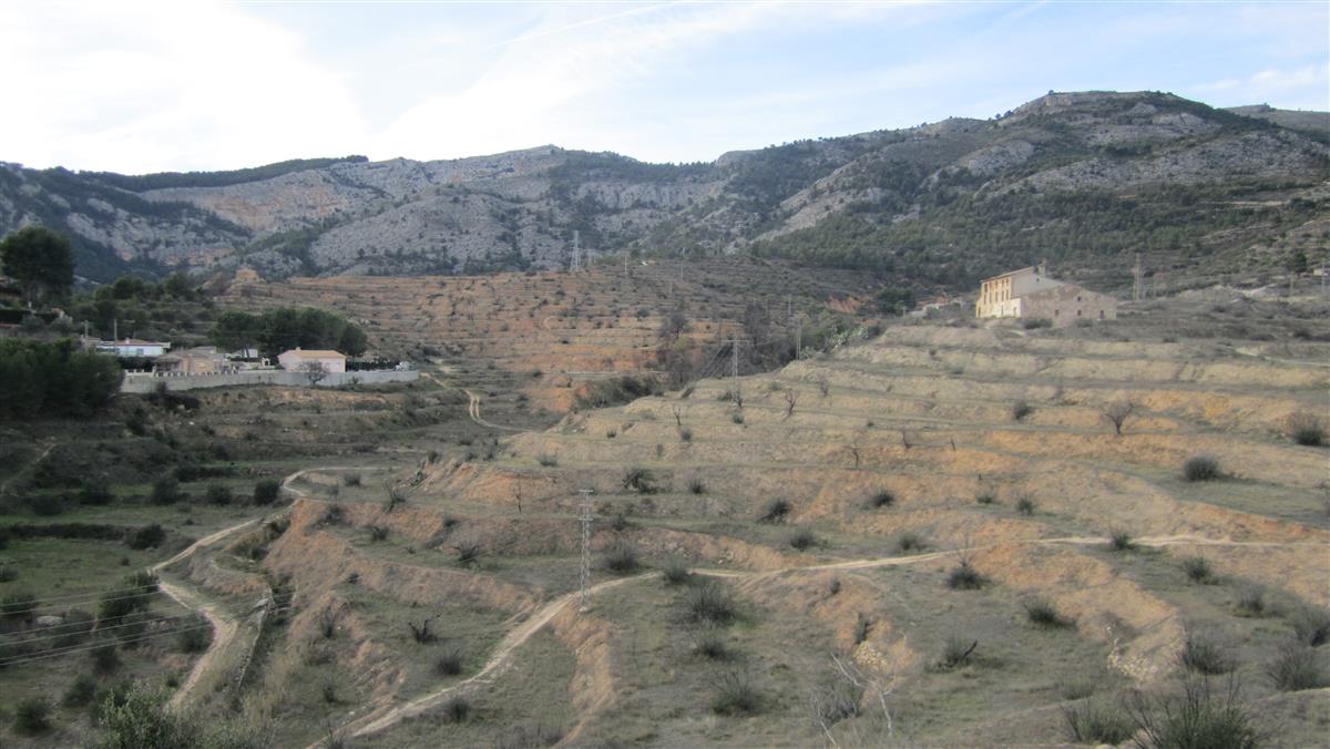 Barranc de l'Olivar en el interior del Parque Natural de la Serra de Mariola