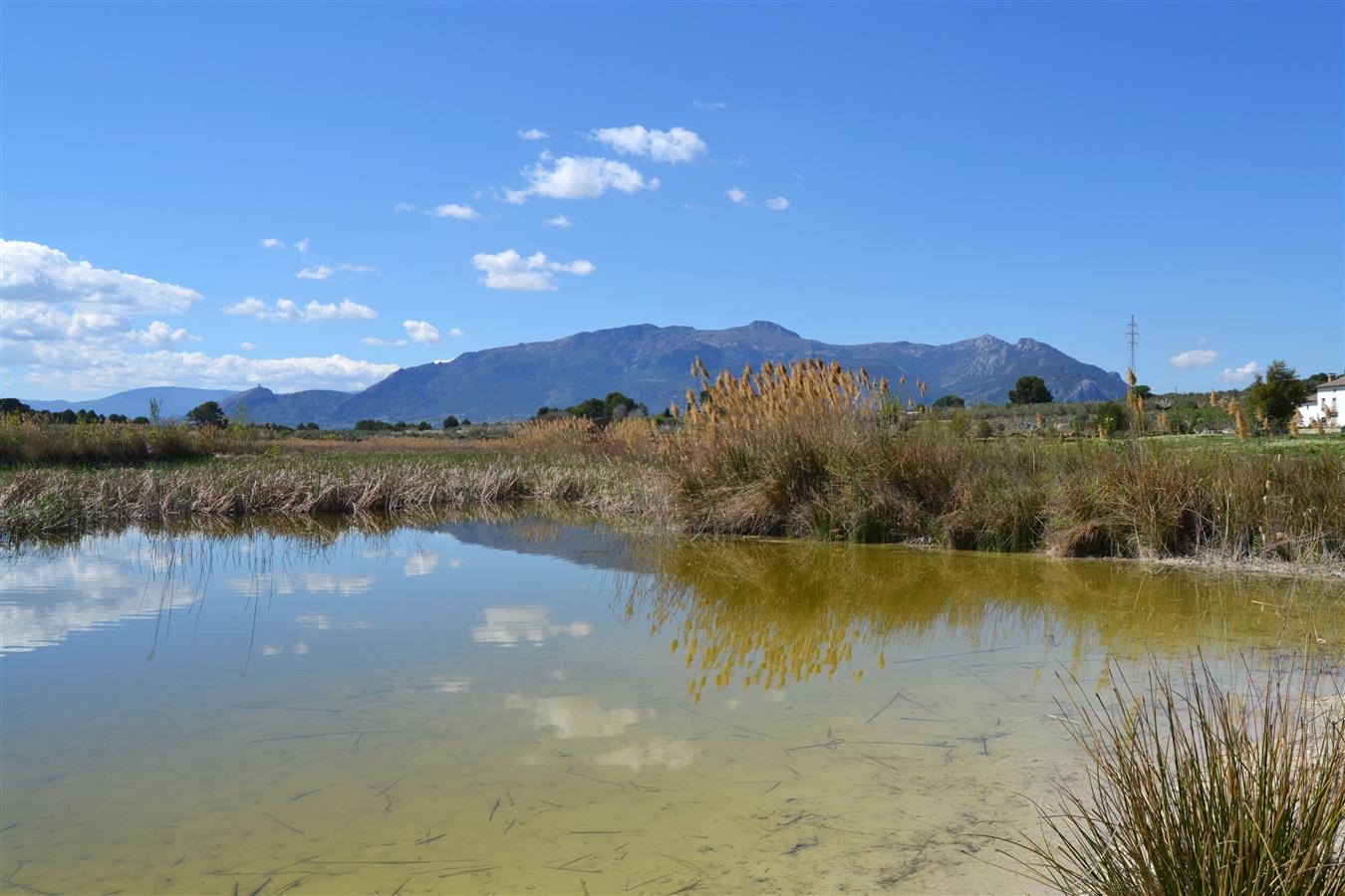 Albufera de Gaianes con la Serra de Mariola al fondo, Alicante