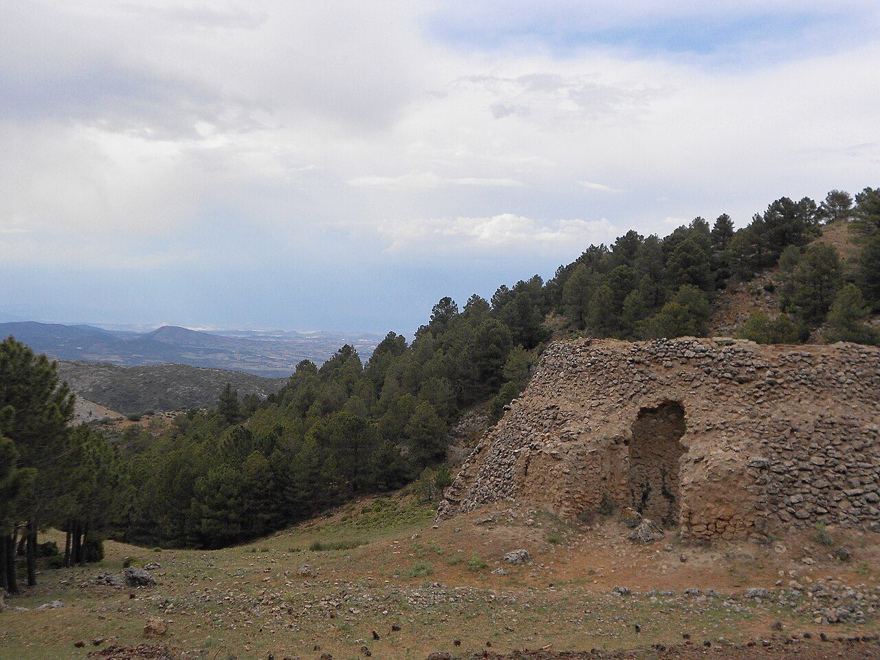 Sendero entre pinares en el Parque Regional de Sierra Espuña