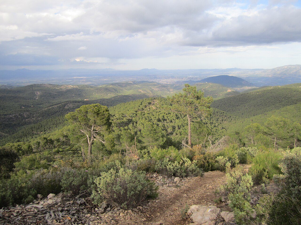 Vista panorámica del Parque Natural de la Sierra de Espuña en primavera