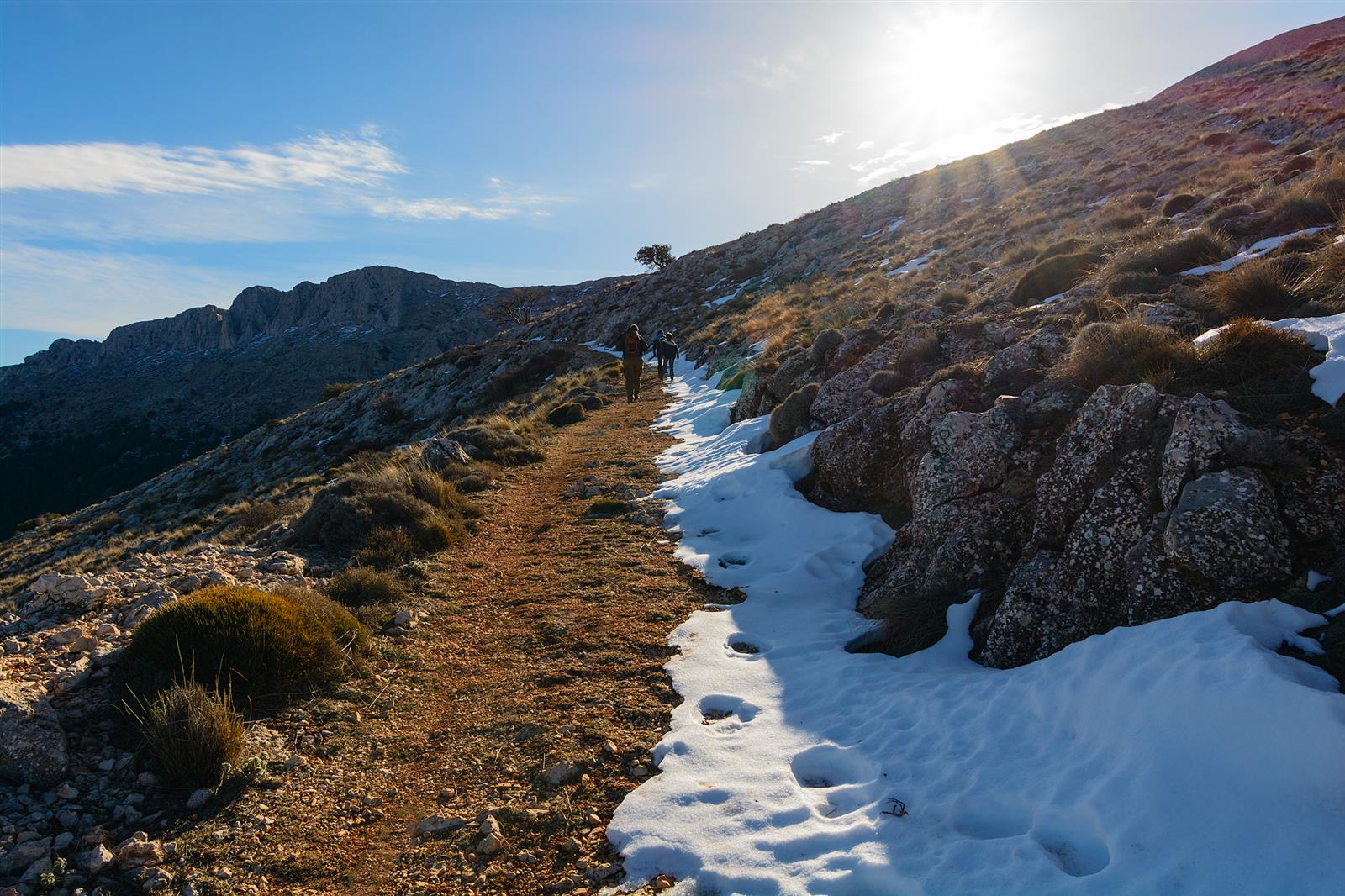 Camino de la Burrica en Sierra de María, sendero entre nieve y pinos en invierno, Almería