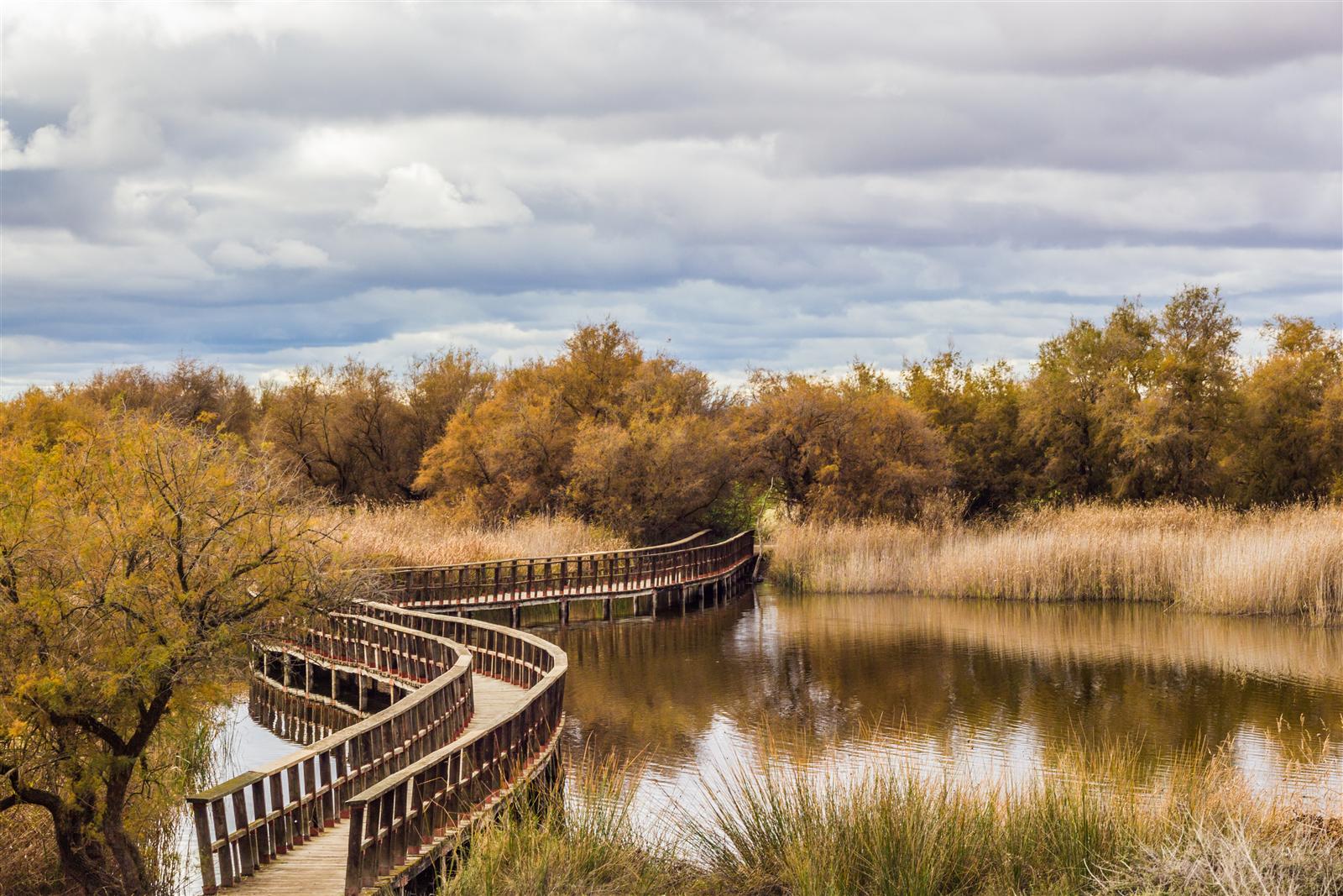 Pasarela de madera sobre las Tablas de Daimiel, Parque Nacional, Ciudad Real