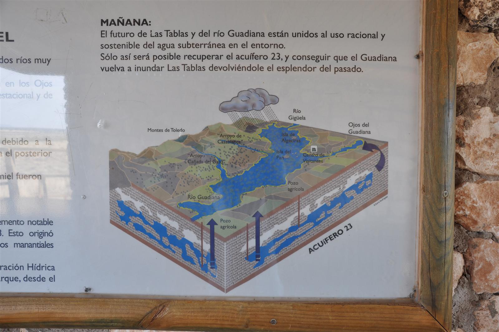 Canales y vegetación de las Tablas de Daimiel desde el mirador, Parque Nacional, Daimiel