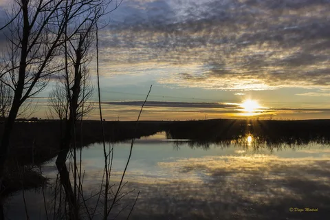 Tablas de Daimiel, Parque Nacional de humedales en la llanura manchega de Ciudad Real
