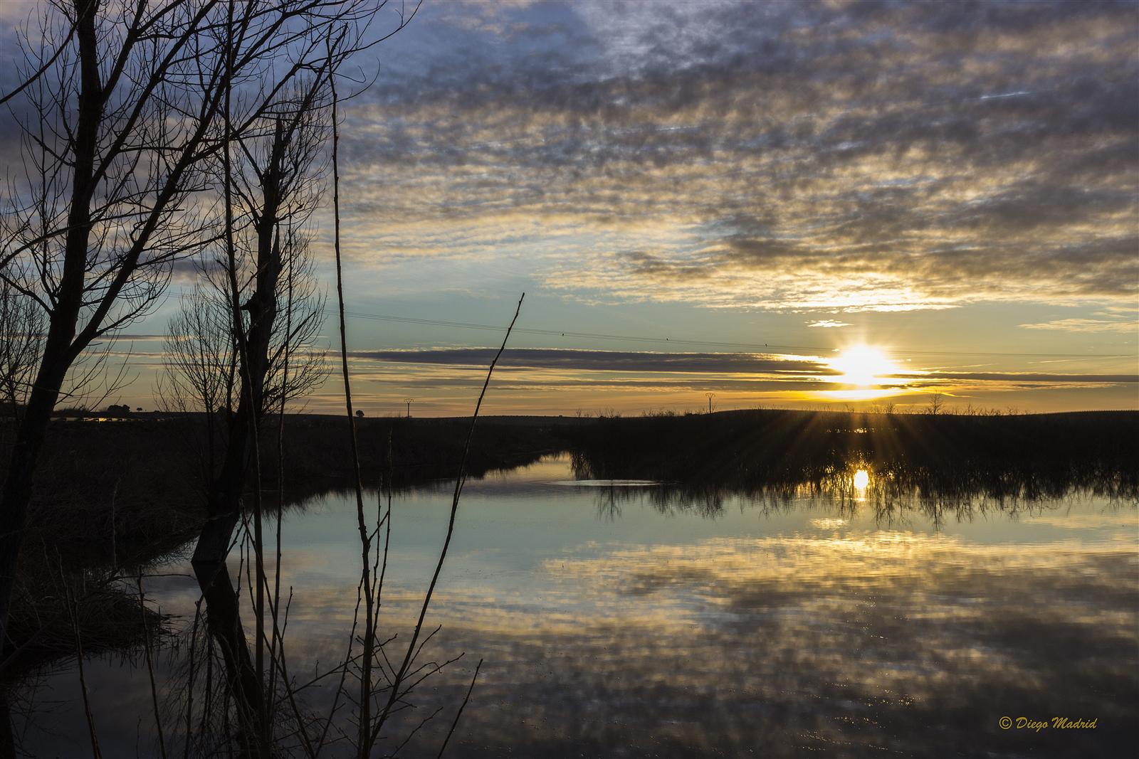 Amanecer sobre las Tablas de Daimiel: humedal de tablas fluviales con reflejos en el agua, Parque Nacional, Daimiel, Ciudad Real, Castilla-La Mancha