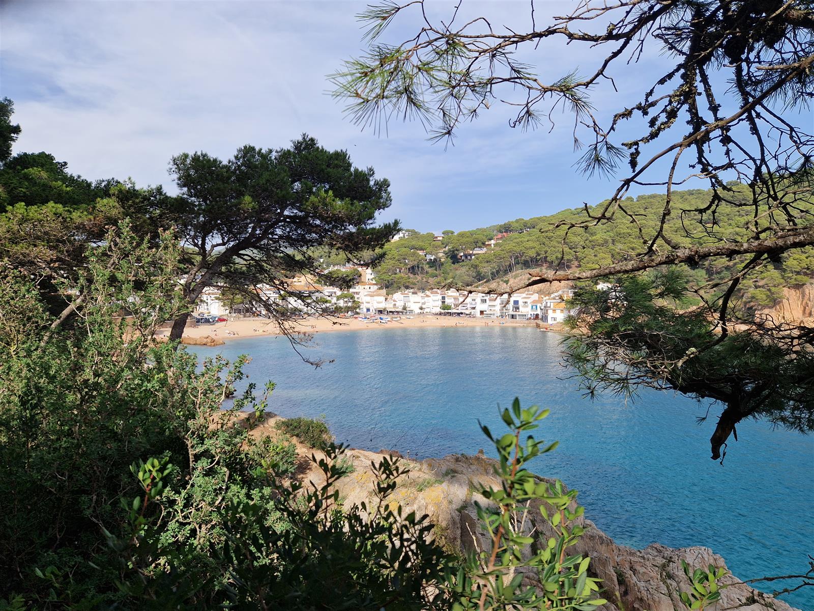 Bahía de Tamariu vislumbrada entre pinos desde el sendero GR-92 con agua turquesa y casas blancas al fondo, Costa Brava