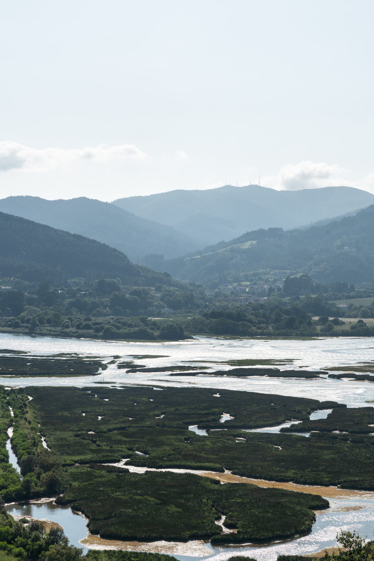 Estuario de Urdaibai en Gautegiz Arteaga, Bizkaia: el brazo del estuario del Oka con marismas y juncos en la Reserva de la Biosfera, julio 2024