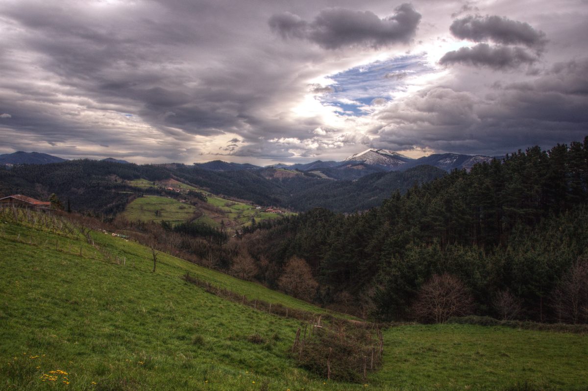 Reserva de Urdaibai: paisaje del estuario con marismas, vegetación de ribera y las colinas verdes del País Vasco al fondo, Bizkaia