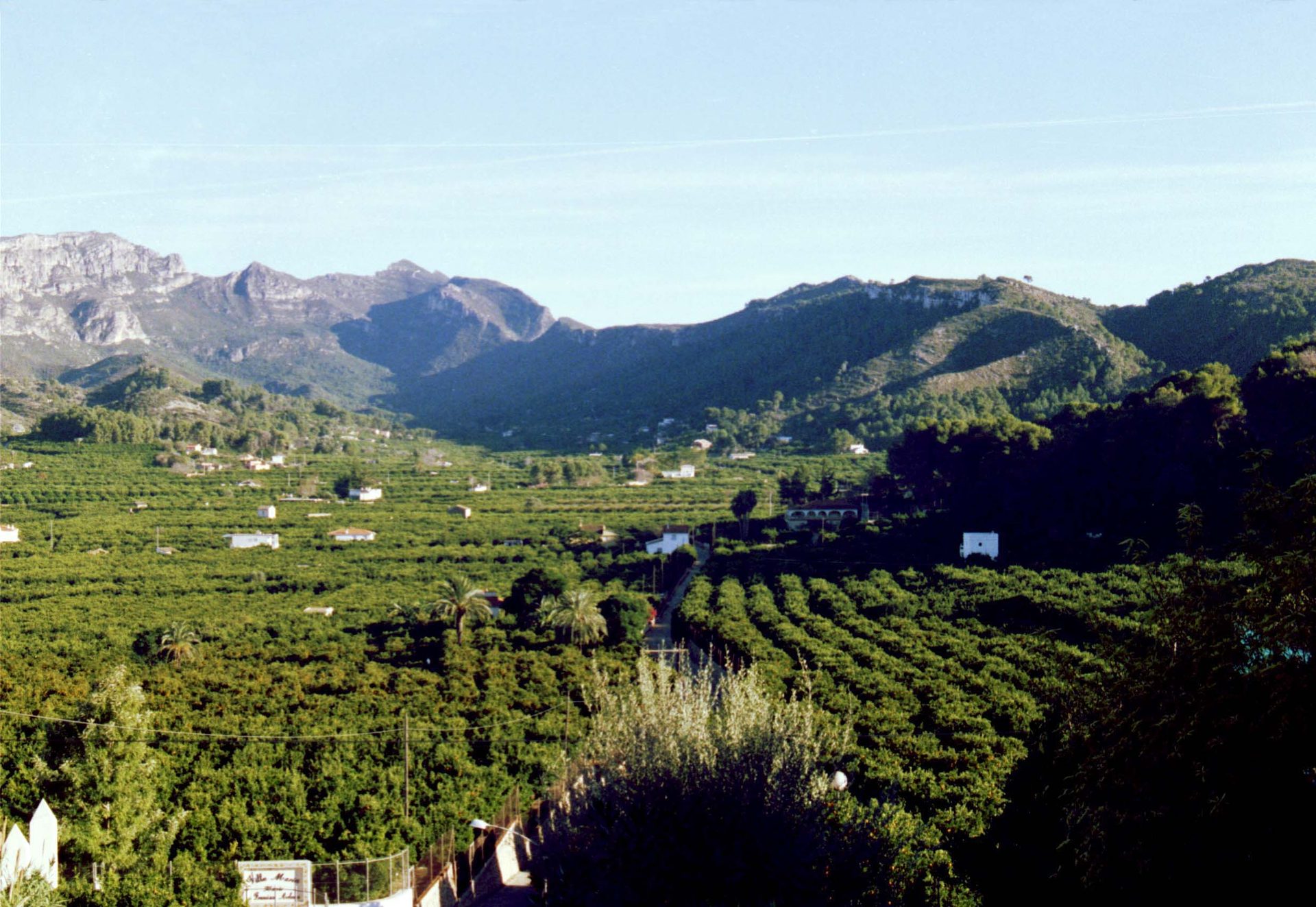 El valle de la Murta con naranjos y vegetación, Alzira, Valencia