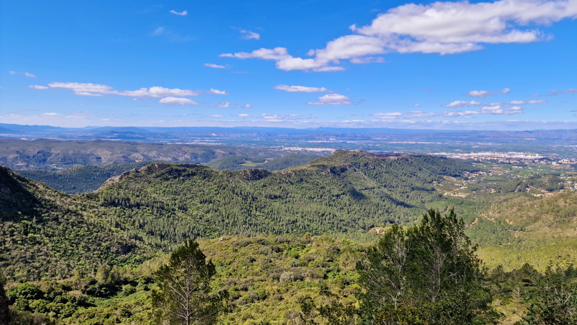 Panorámica de la Vall de la Murta con vegetación exuberante, Alzira, Valencia