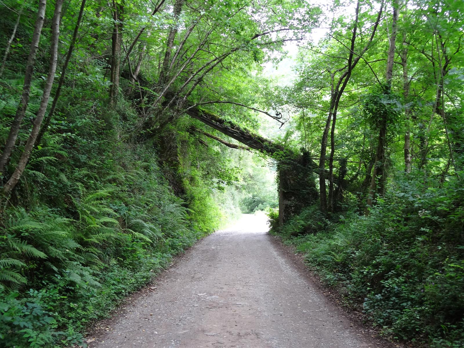 Tramo abierto de la Vía Verde de Plazaola con vista del valle del Larráun en Navarra