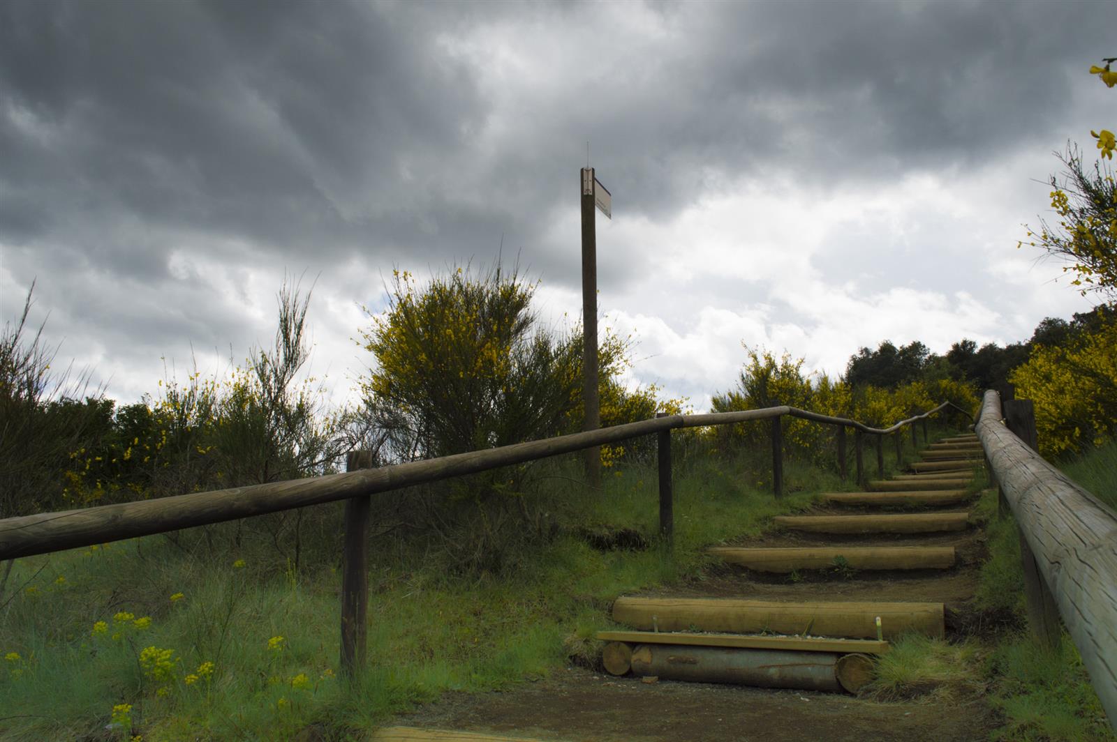 Sendero interpretativo del Volcán Croscat: escalones de madera y barandilla en el camino de acceso al volcán en La Garrotxa
