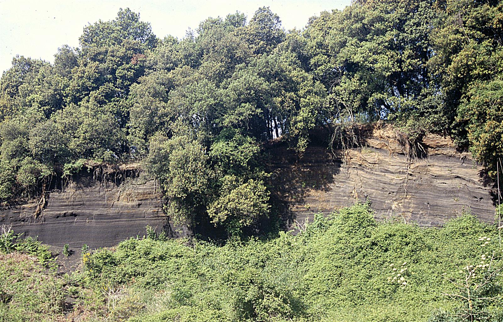 Paisaje volcánico del Volcán de Santa Margarida en La Garrotxa: cráter, bosque y entorno natural protegido de Girona