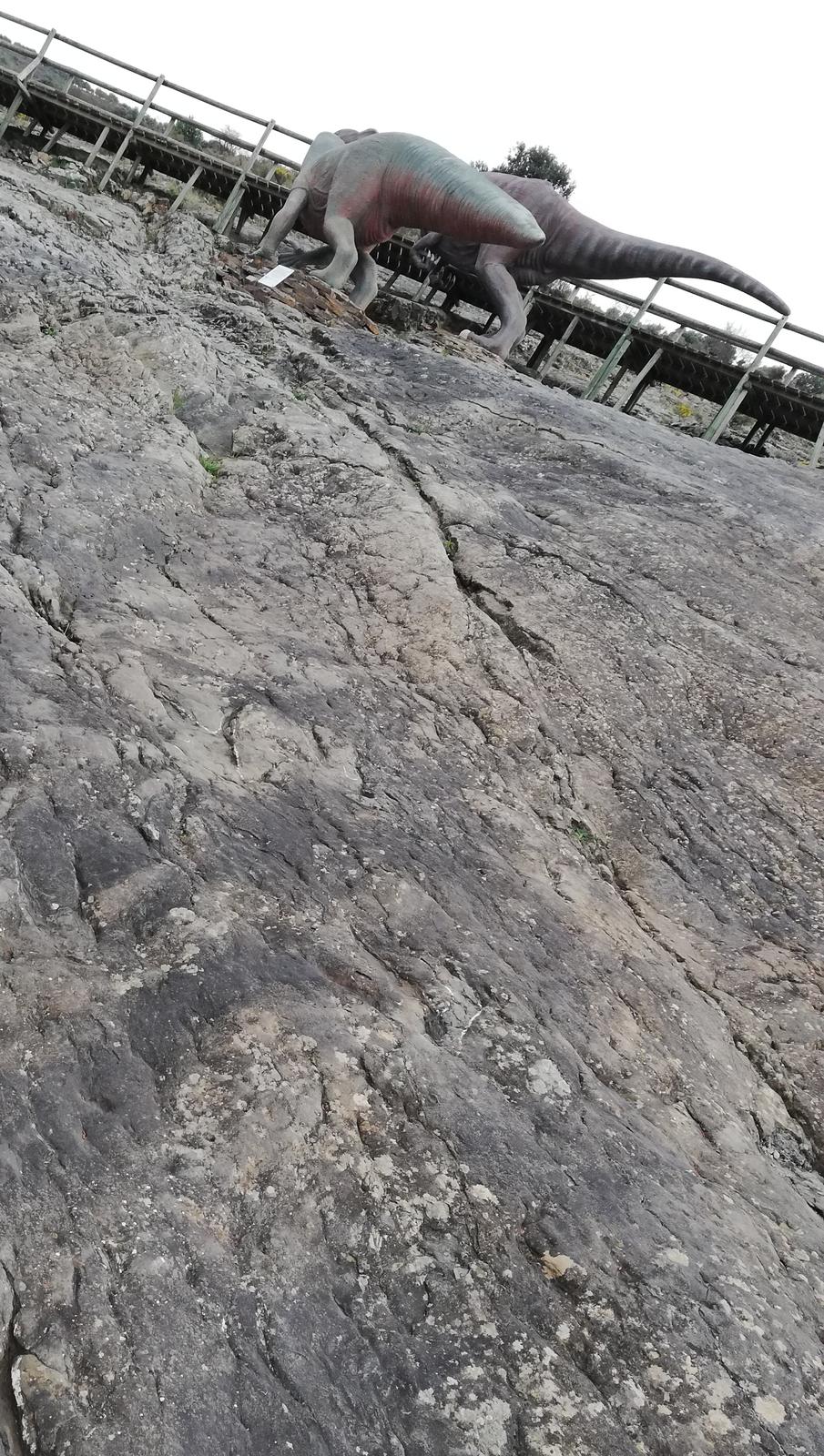 Icnitas y réplicas de dinosaurio en el Yacimiento de la Virgen del Campo