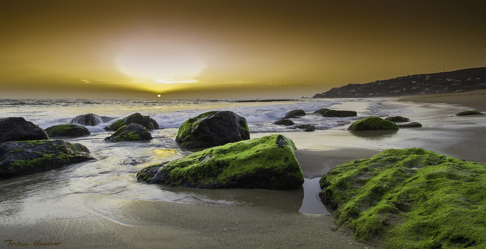 Atardecer en la playa de Zahara de los Atunes con rocas cubiertas de algas